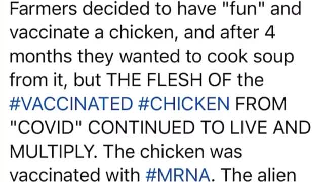 Chicken Meat from mRNA Vaccinated Chicken Lives on After Slaughter via Nanotech