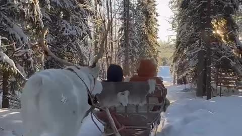 Beautiful Finland