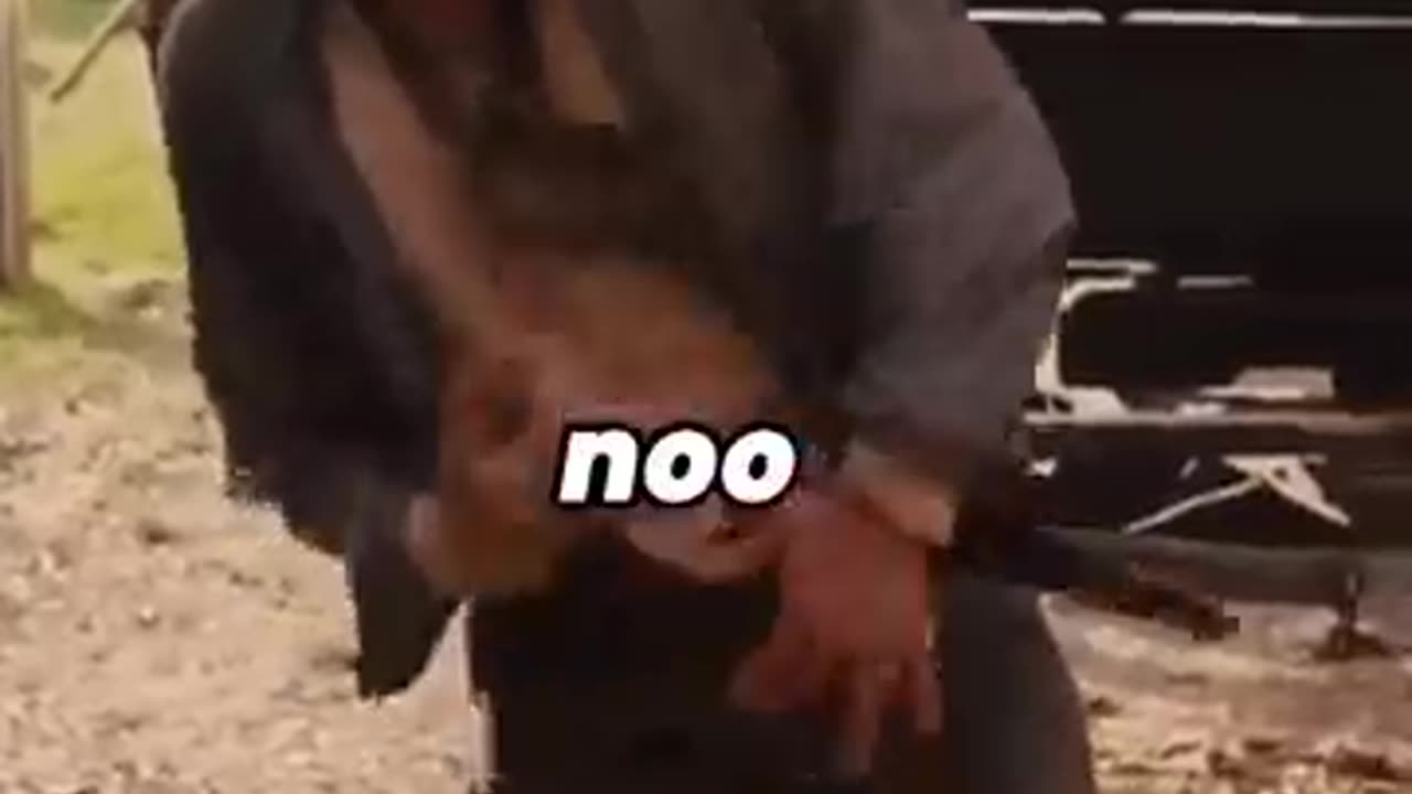 THE REVENGE OF DJANGO