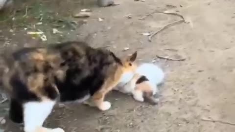 Mother, Like A God On Earth #shorts #shortvideo #video #virals #videoviral