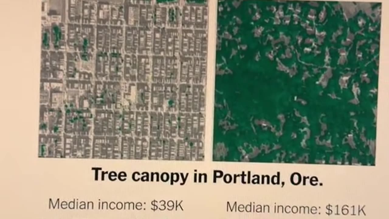 The frequency of trees