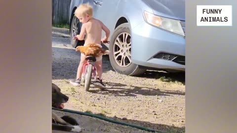 FUNNY PET & ANIMALS COMPILATION #1