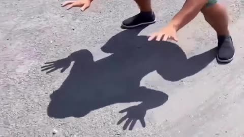 Funny Man Froggy Walking