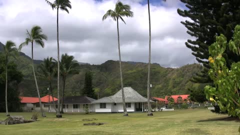 Kauai Settlement with palm trees 2