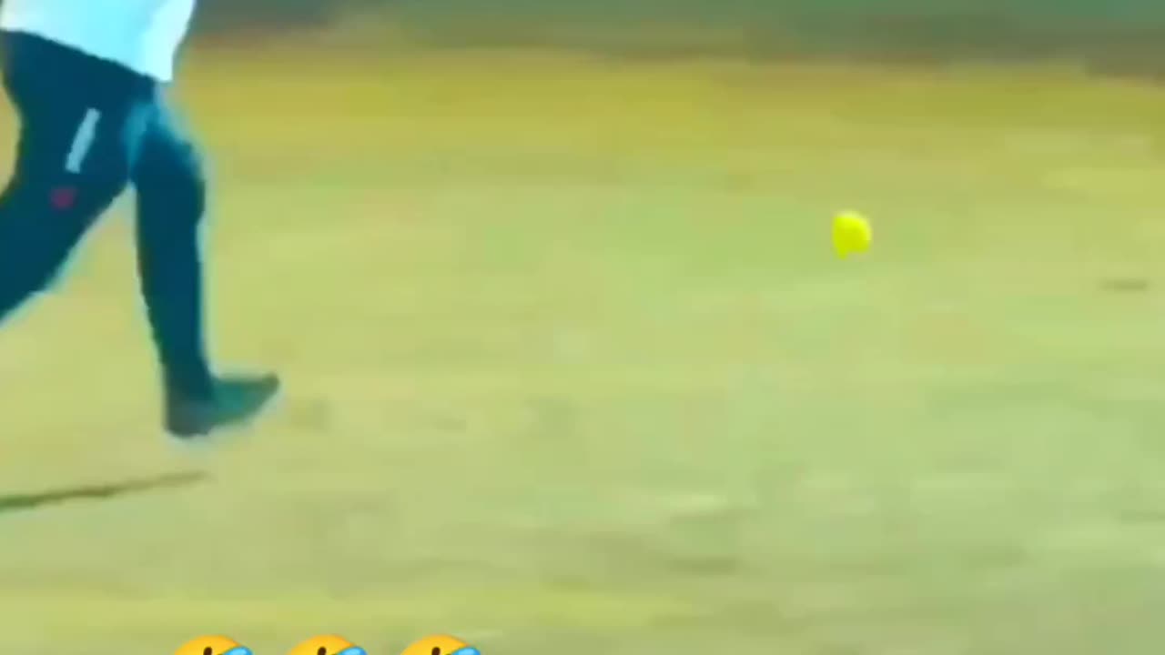Funny cricket