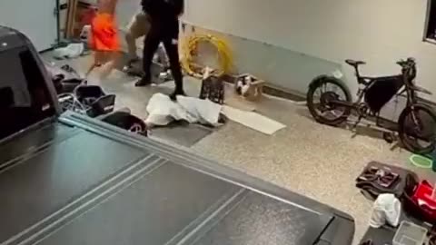 Mutiger Kanadier wehrt zwei Einbrecher ab