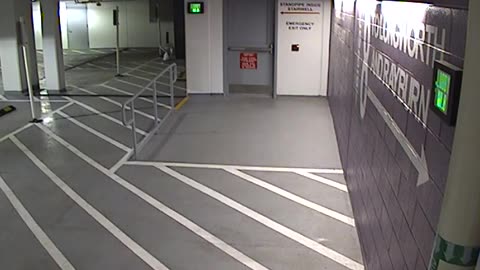 6136RHOBG3G3L8Lobby8Entrance_2021-01-05_00h40min00s243ms.mp4
