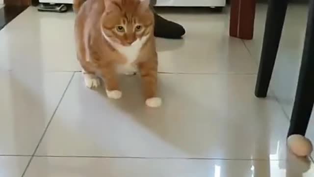 wait till the end...