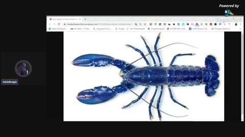 Content Crustaceans on social media