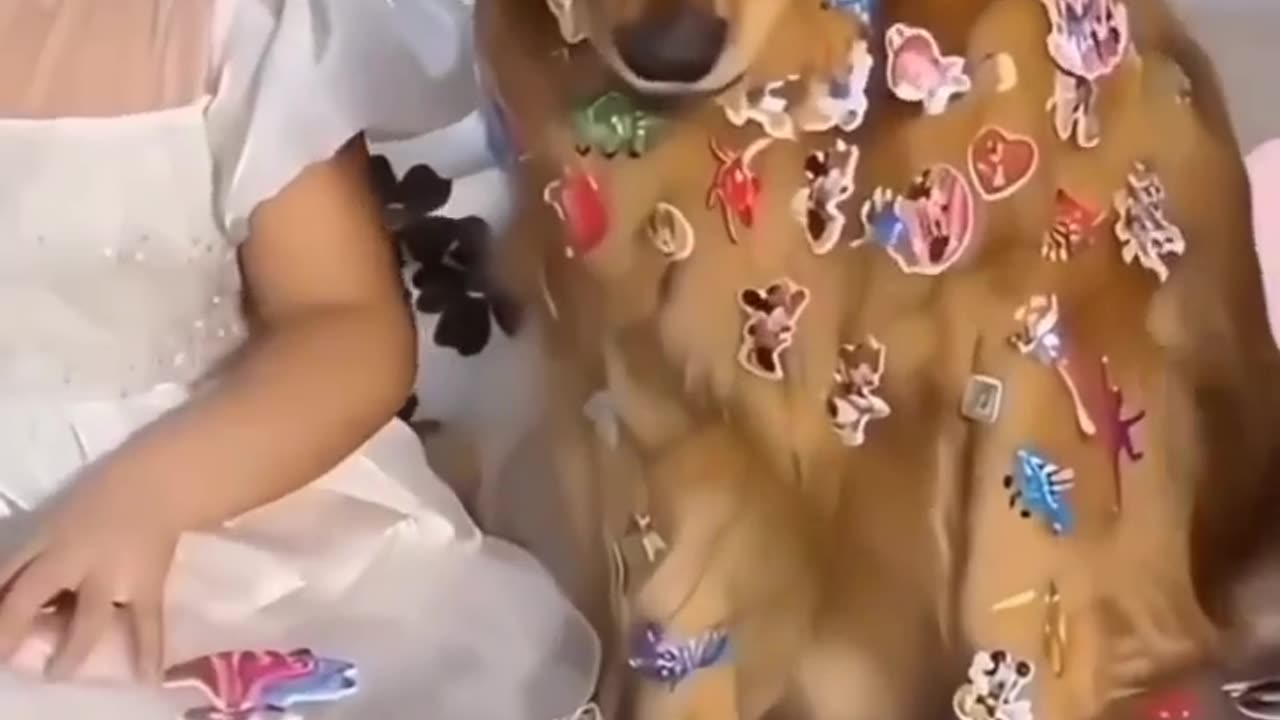 Cute baby funny video with animal