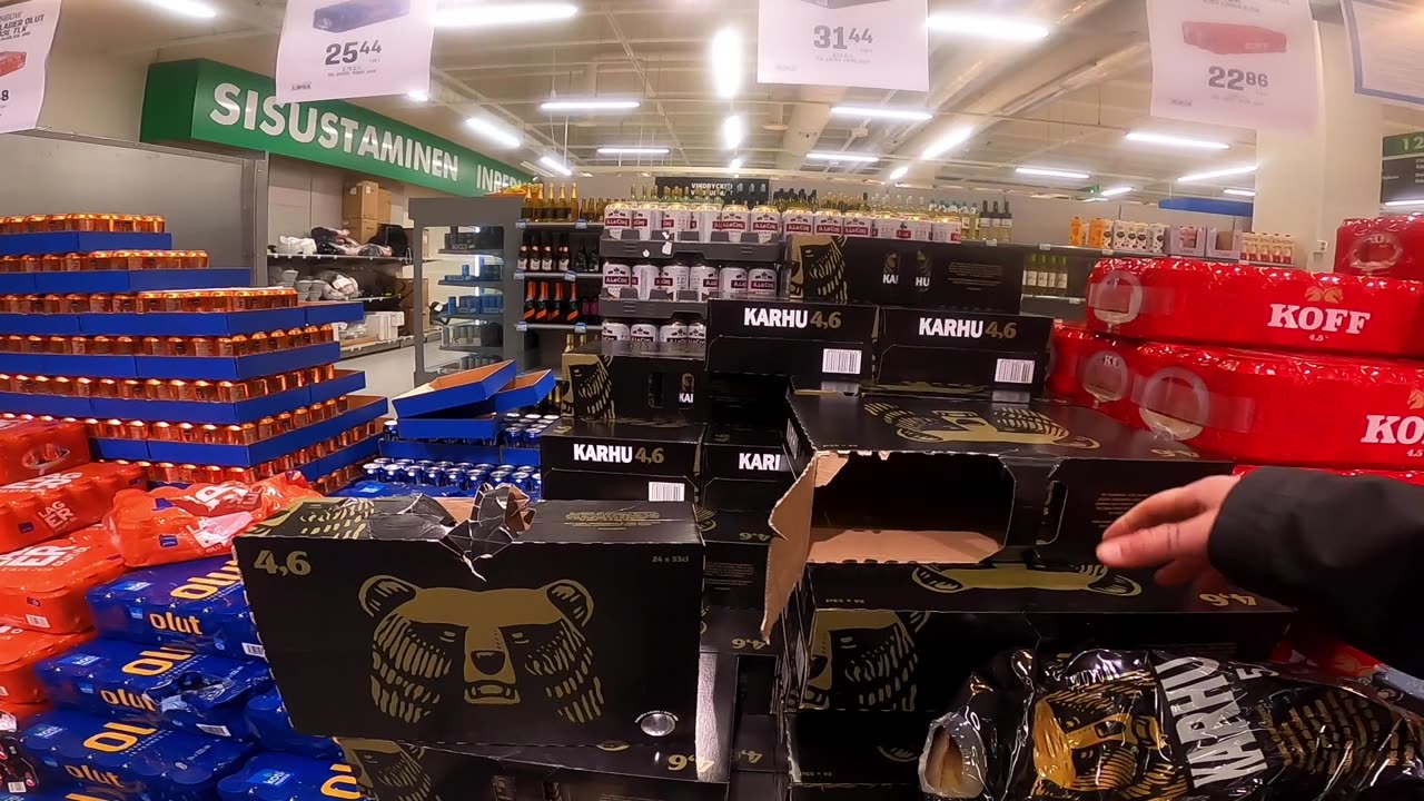 🇫🇮 First Day in Finland (#mcdonalds #groceryshopping ) 🛩️