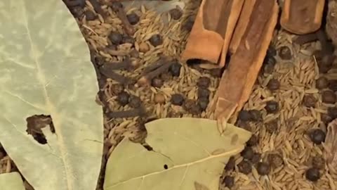 Best cooking racepie