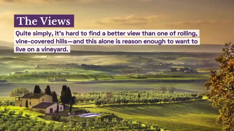 Everything There Is to Love About Living on a Vineyard