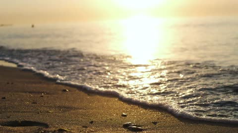 Free sea