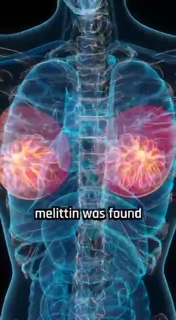 Honeybee venom kills cancer cells.