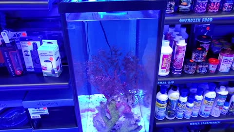 How to create a Homemade underwater sand waterfall for your aquarium