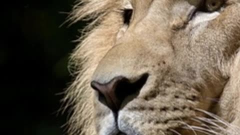 Top 5 Weird About Countries But True Facts Did You Know To WOW and OMG Everyone