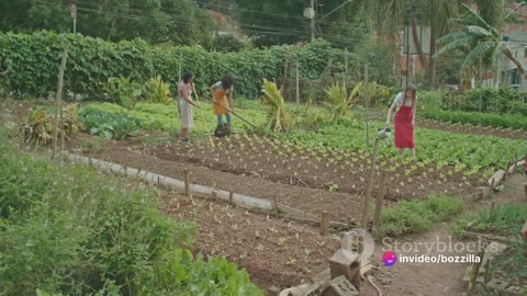 Top 10 Tips for Sustainable and Eco-friendly Living