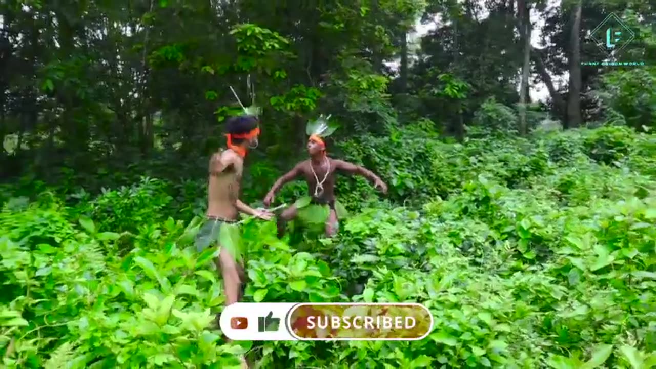 Jungle funny video