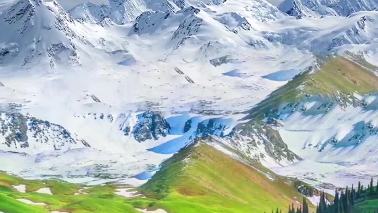 Birds and nature..#bird #nature #quran #relaxing #viralvideos