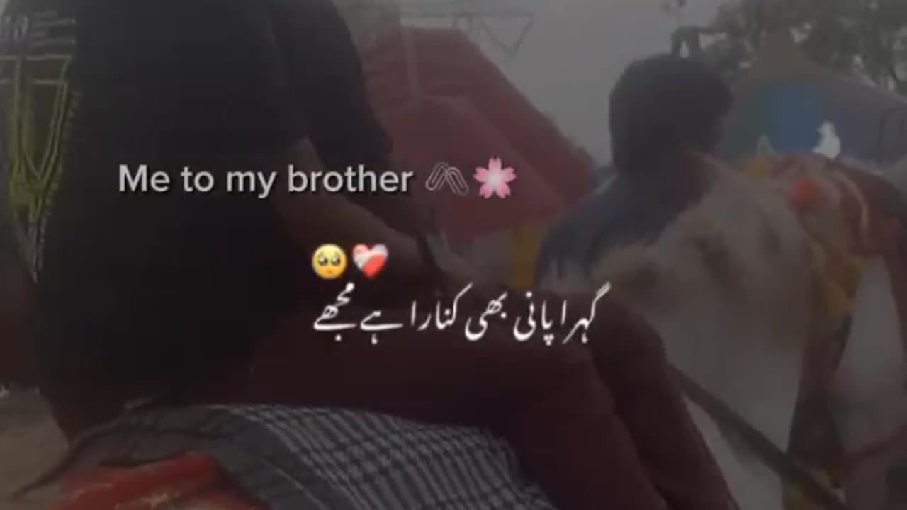 two brother and enjoyment ,happiness
