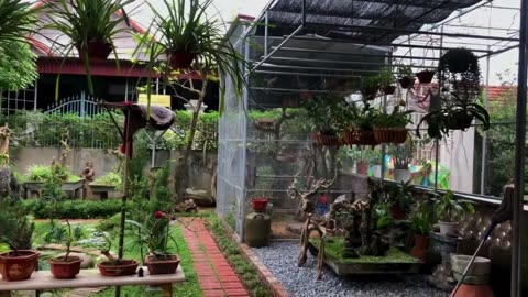 Mini Aviary