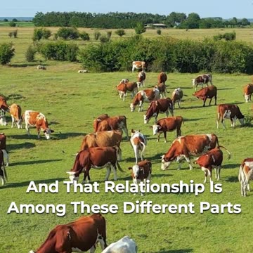 🌱 Unmasking Organic Farming Misconceptions 🌾