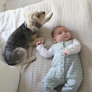 Adorable cute baby and dog