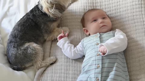 Adorable cute baby and dog