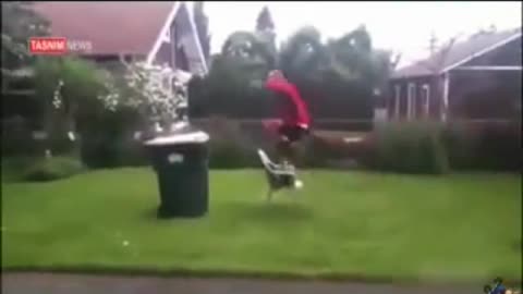 Injury funny parkour