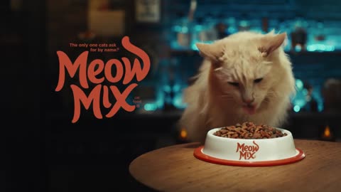 Meow – Heart
