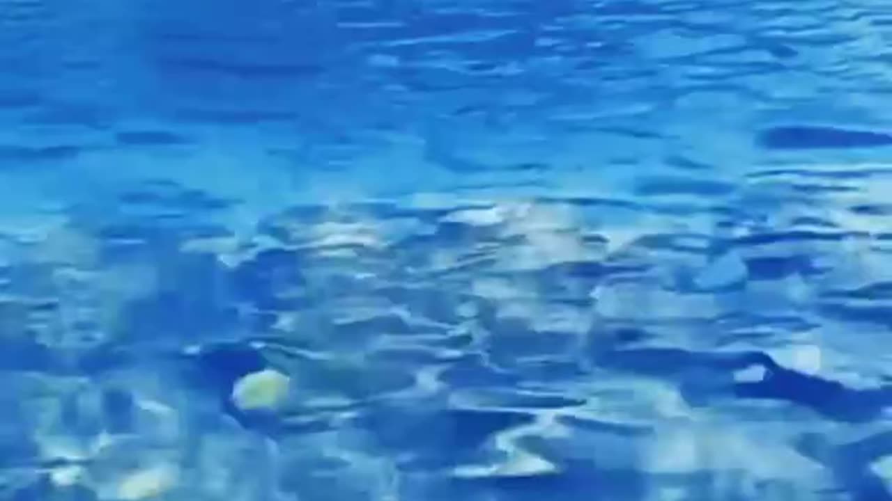 Nature things