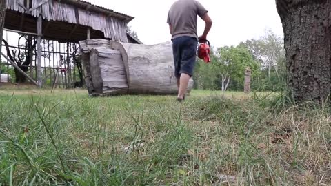 REAL SIZE WOODEN BEAR, amazing chainsaw wood carving