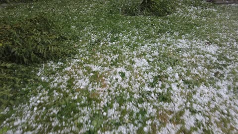 Lindsay Ontario Hail Storm August 3 2023