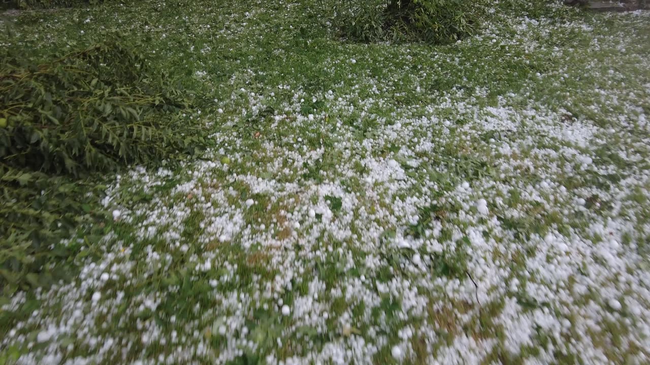 Lindsay Ontario Hail Storm August 3 2023