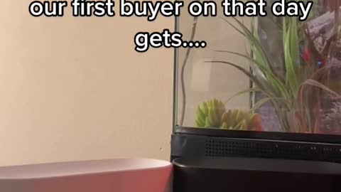 Starting November 5th, our first buyer on that day gets...한