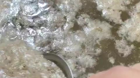 New chicken soup recipe