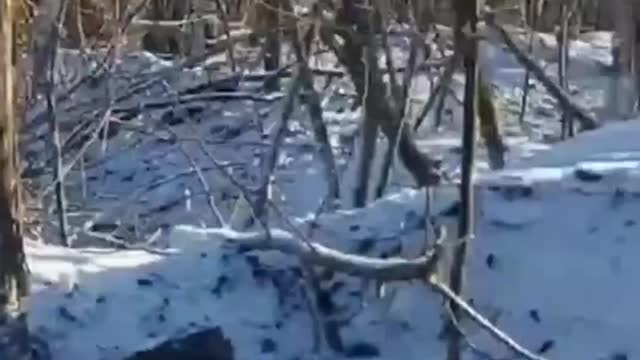 Fire Fights Outside Bakhmut
