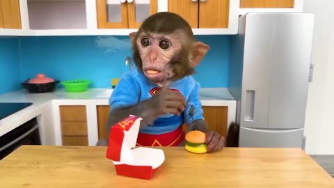 Baby monkey playing
