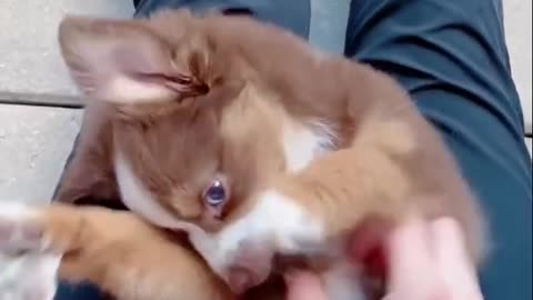 Same video, new sound