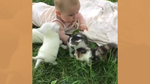 Dogs and Babies Are Best Friends