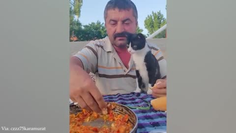 Funny, Animals, Hewan, Lucu