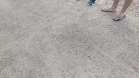 Safari trip in Sharm El-Shiekh