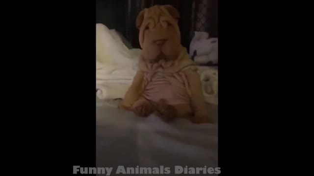 Cute Animals Videos - 😂 Try Not To Laugh | Amazing Animals