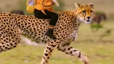 Nature | Animals | Travel | Adventure🌎 ⚫