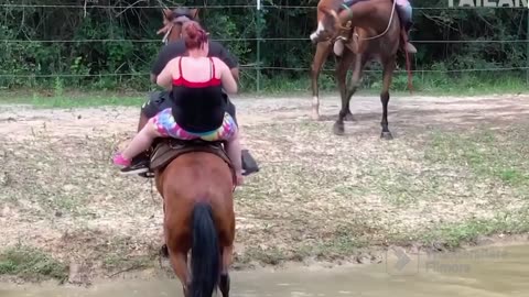 Funny video🤣🤣