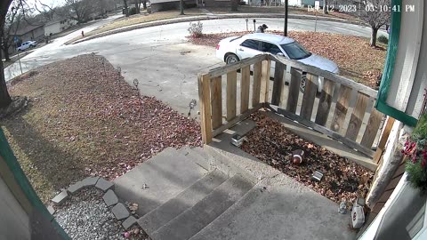 Dog Launches Himself At Passing Car