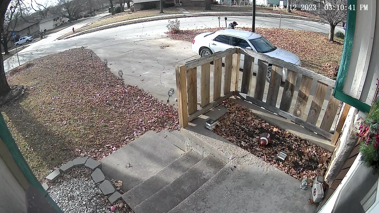 Dog Launches Himself At Passing Car