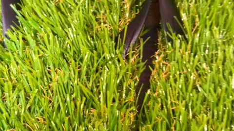 which is the best grass slipper manufacturer