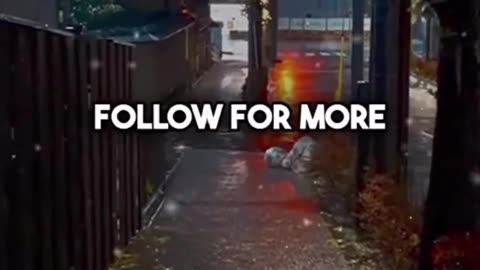 Motivational Video #51